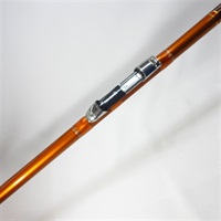 ２０キャスティズム２５－３８５